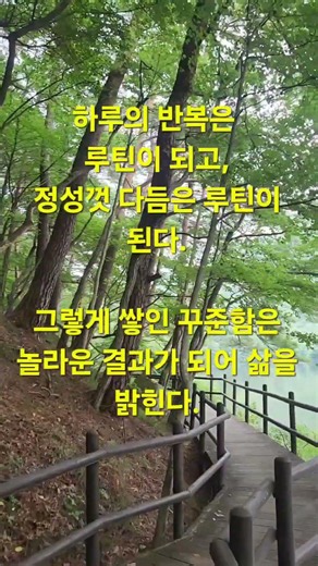 글영상,속리산숲속#소소한일상#속리산산골일상#hiking #nature#산골#1일1산책#숲속산책#travel#속리산#자연#귀촌#산골밥상#집밥#속리산계곡#숲속동물#식물재배
