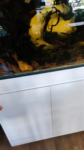 we customize cabinet 😊 | CHASE Aquatics