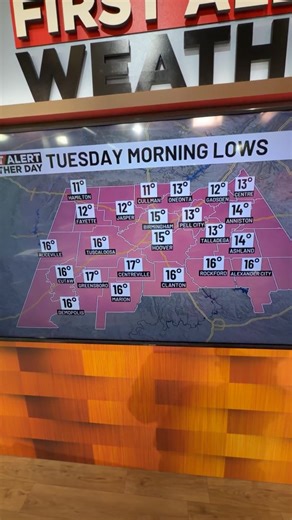 ‼️LIVE: Time to talk about what’s next! Watching the weekend for the possibility another significant blast of cold air. | Wes Wyatt WBRC