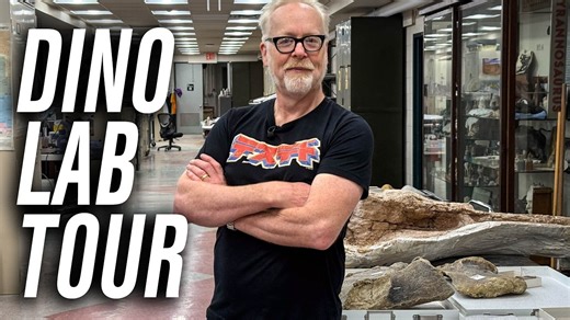 Adam Savage Toured the AMNH Fossil Lab