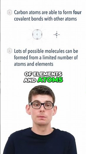 Organic Chemistry – What is it?