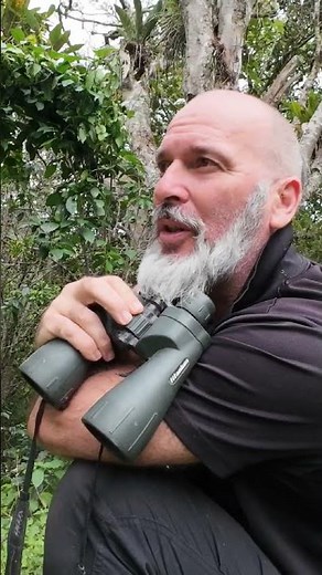 Birdwatching in Colombia’s Wild Paradise