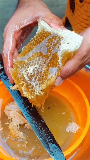 “Top Natural Foods Your Body Needs | Pure Power from Nature 🌿” #NaturalFoods #HealthyLiving #NatureCureDaily #Superfoods #EatNatural | Nature Cure Daily