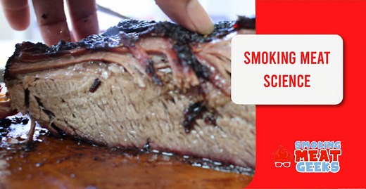Science of BBQ from Smoke, Wood, to Meat & Fat - How it Works