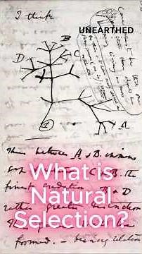 What is Natural Selection? #evolution #darwin #paleontology #davidattenborough #geology #science