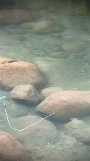 Fishing Small Creeks with Small Dries for Trout