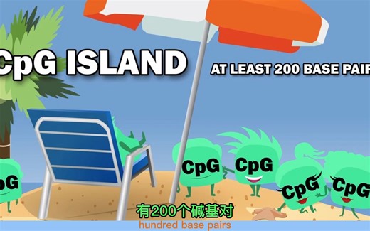 CpG岛是如何形成的？频率是多少？及其脱氨作用下如何形成胸腺嘧啶的？