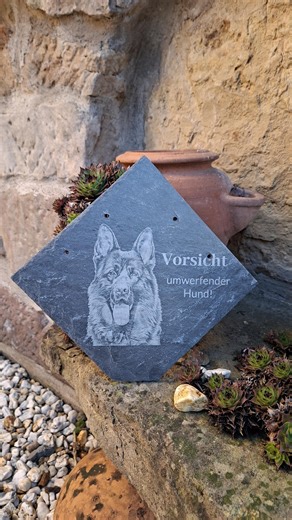 Dog Sign Old German Shepherd - Slate, Slate Plaque With Engraving - Decoration - Etsy