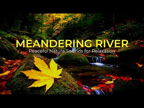 MEANDERING RIVER - Peaceful Nature Sounds for Relaxation