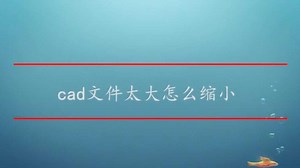 cad文件太大怎么缩小
