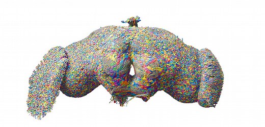 First map of every neuron in an adult fly brain complete