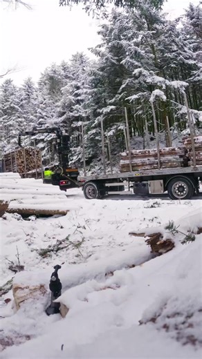 Vidéos de Da SmaD (@da_smad) avec Gts - FEKAR