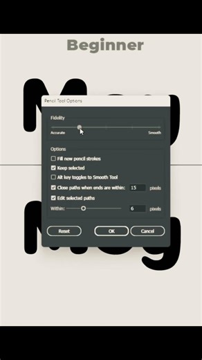 Adobe Illustrator for Beginners | Become a Pro Designer