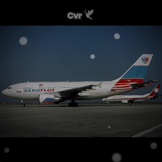 Flight 593 vs CVR Analysis