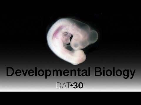 Developmental Biology: Intro to Developmental Biology