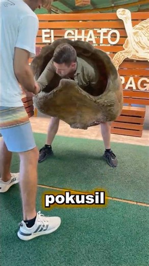 Teď pochopíš, proč jsou želvy tak pomalé 🐢🤯