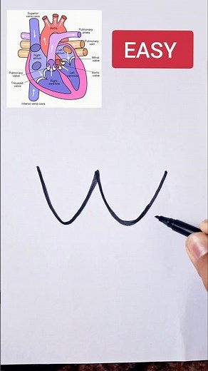 Human heart diagram class 10 #CBSE #class10