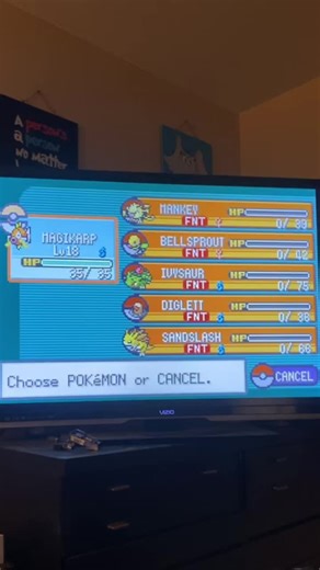 Unexpected Moments While Gaming: A Funny Pokémon Surprise