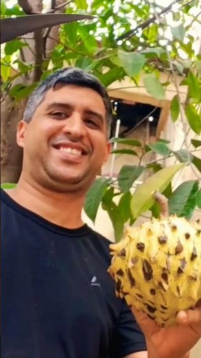 Está entre as 10 frutas mais saborosas do mundo!