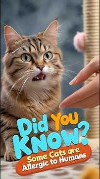 Shocking Truth About Cat Allergies!