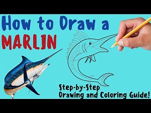 How To Draw A Marlin - Fun & Easy Step-by-Step Drawing and Coloring Guide