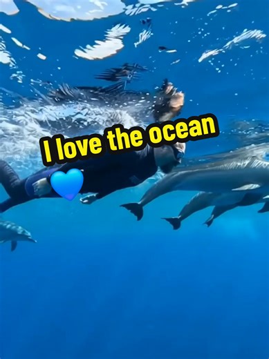 Exploring the Beauty of the Ocean and Dolphins