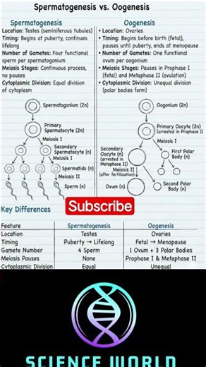 difference between spermatogenesis oogenesis#sciencefacts #biology #scienceworld