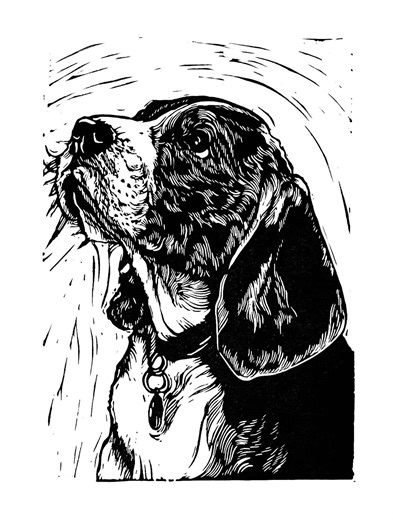 Beagle Dog Linocut Print: Original Hand-printed Pet Portrait - Etsy