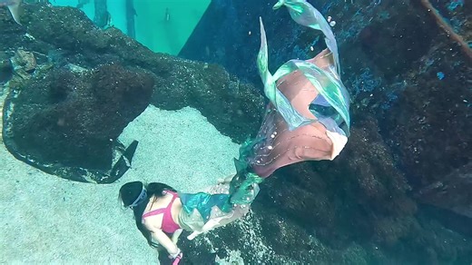 Explore the Magical World of Mermaid Transformations