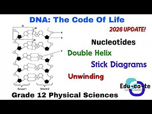 DNA: The Code Of Life - 2026 updated version (Grade 12 Life Sciences)