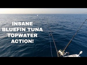 INSANE Topwater Bluefin Tuna Popping - 5 Strikes, Fish Jumping Everywhere and a 50kg Keeper
