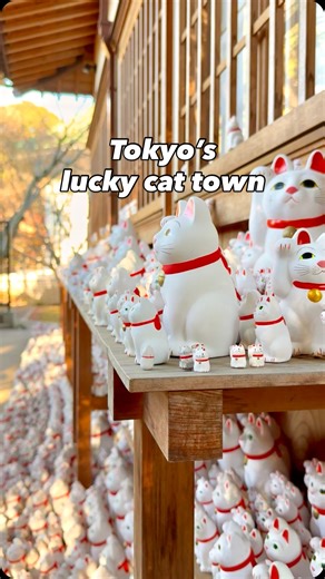 If you love cute spots in Tokyo, you have to visit Gotokuji — the lucky cat town! Hop on the adorable Lucky Cat train and head to Gotokuji Temple where you’ll find hundreds of lucky cat statues lined up — it’s such a cool sight. Make sure you choose the correct 🐾 if you are taking one home - right paw for💰and good fortune, left paw to attract business 🧑‍🧑‍🧒‍🧒 and when your wish comes true, you can bring your cat back to the shrine for showing your gratitude (adding to the thousands of luck