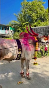 KING MONTY 🔥#shorts