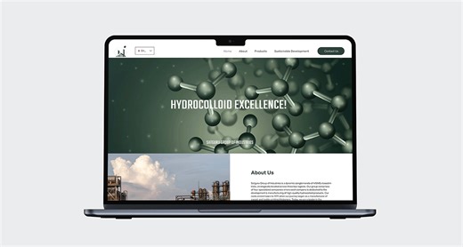 SGI - Web Design & Exhibition Graphics - Rishin Thakur