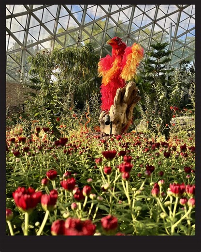 17 reactions | Mitchell Park Domes on Reels | Facebook