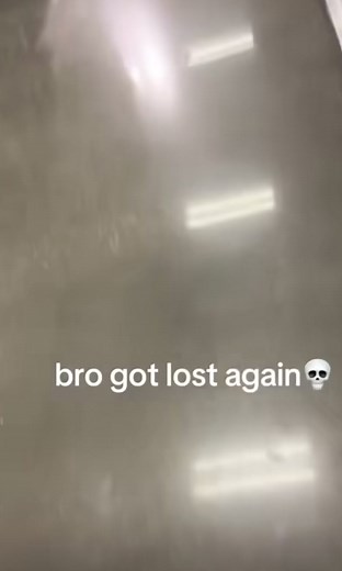 Zoro's Disorientation: Lost Moments Compilation