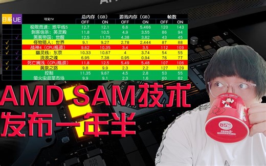 【GPU】技术实测：AMD SAM最高帧数提升不止16%，但游戏兼容性还是不行！内存末日变内存加倍，SAM后内存占用竟然增加！