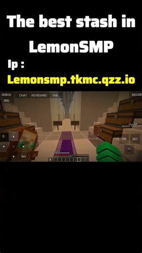 the best stash in lemonsmp #minecraft ip: lemonsmp.tkmc.qzz.io