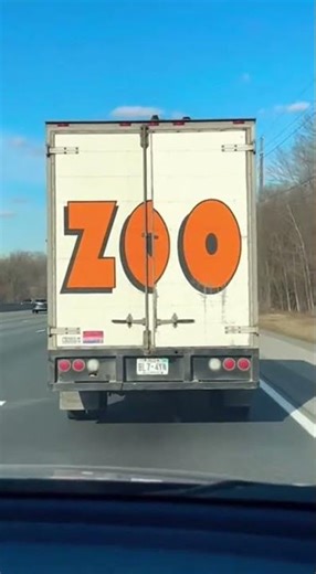 ESCAPE and have a DANCE PARTY on the roof! 🐒