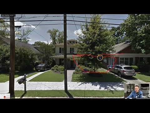 Arborist tips on How to prune a pin oak tree