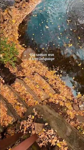 Fall just has such a magical feel 🍂#fall #asmr #cozy #calm #relaxation