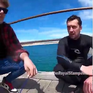 4.1M views · 27K reactions | ADELAIDE AUSTRALIA SHARK ATTACK!  | The Royal Stampede | Facebook