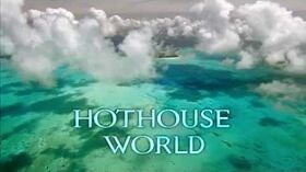 The FUTURE is WILD 100 Million Years Introduction