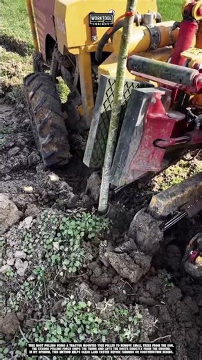 Tree Root Pulling Using Tractor Mounted Tree Puller | best for Land Clearing Work #tool