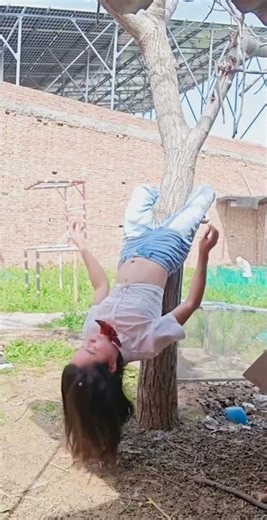 How to Climb a Tree Like a Pro: Easy Techniques for Beginners