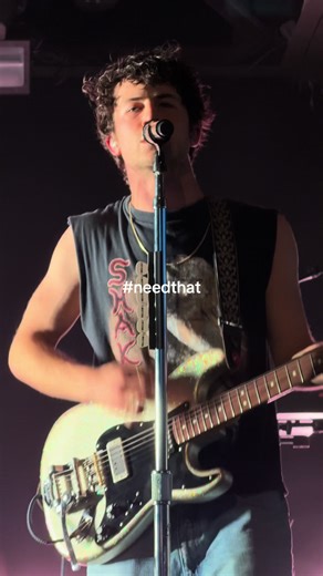 Fan Love for Wallows and Dylan Minnette