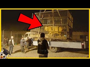 35 Extinct Animals Captured on Camera