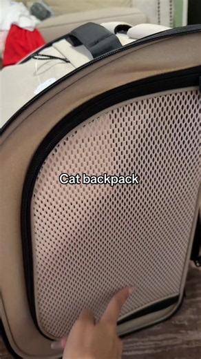 Cat backpack for pets: best pet backpack deals