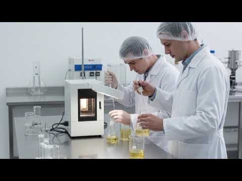 Inside a High-Tech Factory: How Automated Production Lines Shape the Future