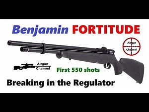 Benjamin FORTITUDE Review #3 (Breaking in the Air Gun) Shots #150-550